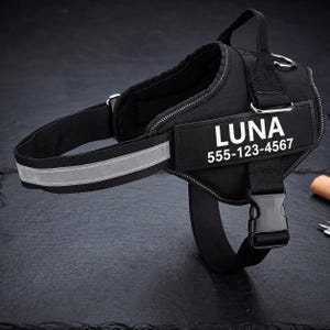 Puede incluir: Un arnés negro para perro con una franja gris reflectante en la correa del pecho, un asa superior y un parche rectangular con el texto blanco LUNA y el número 555-123-4567. El arnés incluye una hebilla de plástico negra y una anilla de metal.