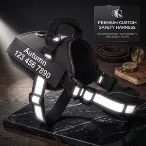 May include: A black dog harness featuring reflective strips and a customisable side patch displaying the text Autumn 123 456 7890. The harness includes a top handle, adjustable straps with plastic buckles, and a metal D-ring for leash attachment.