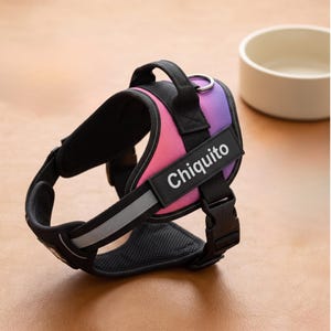 May include: A pet harness featuring a gradient pink and purple colour scheme with black trim and mesh lining. The harness includes a top handle, a metal D-ring, and a rectangular black patch on the side with the white text Chiquito printed on it.