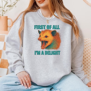 May include: A light gray sweatshirt featuring a colorful opossum graphic with the text "FIRST OF ALL I'M A DELIGHT" in teal. The opossum has orange, brown, and green fur, with an open mouth. The sweatshirt is a casual style.