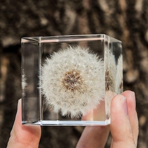 Dandelion Paperweight Cube Nightlight Crystal Ornaments,Cube Dandelion Personalized Gift,Dandelion Resin Crafts,Handmade Creative Home Gift