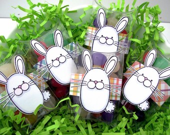 May include: Five clear plastic favor boxes filled with colorful jelly beans and decorated with bunny rabbit stickers. The boxes are sitting in a bed of green shredded paper.