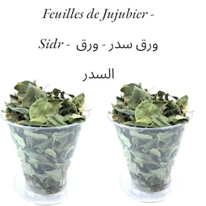 Jujube Leaves - Sidr - ورق سدر - ورق السدر 1