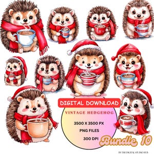 Image clipart Noël hérisson, hérisson vintage aquarelle imprimable, Illustration, clipart vacances, hérisson PNG Bundle, écharpe rouge