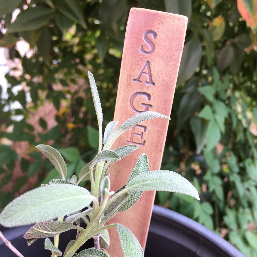 Individual Herb Garden Markers. Ecofriendly Durable Reusable Etsy