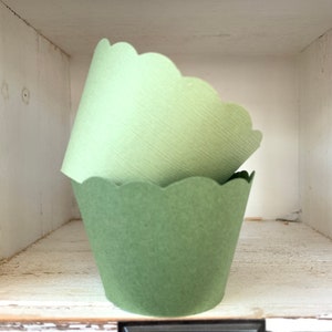 Sage Green Cupcake Wrappers, Textured Finish, Flat Finish