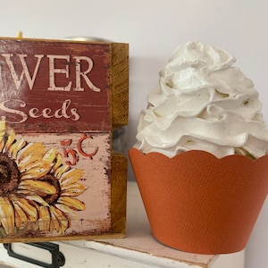 Burnt Orange Cupcake Wrappers, Pumpkin, Harvest Colors