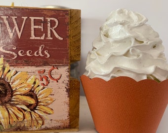 Burnt Orange Cupcake Wrappers, Pumpkin