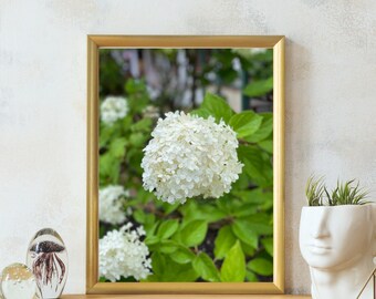 White Blooms – Minimal Floral Wall Art Print | Digital Photography for Calm & Botanical Decor