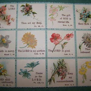 Victorian Sonntagsschule Auszeichnungen C1890 BLUMEN - Briefmarkengröße - perfekt für Scrapbooking! Blaue Borte