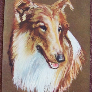 COLLIE dog print  1950s nos calendar picture print - Lassie Vintage