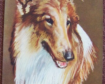 COLLIE dog print  1950s nos calendar picture print - Lassie Vintage