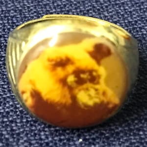 Battlestar Galactica Muffit toy ring 1978 RARE MINT Space Robot Dog scarce