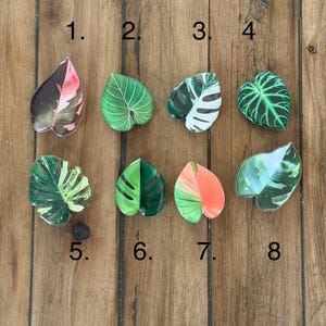 Planty Phone Grips