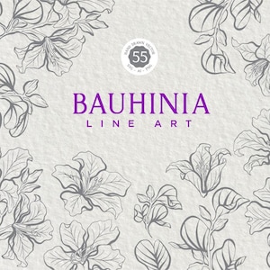 Bauhinia Line Art to rysunek kwiatu wykonany ręcznie, zawierający elementy graficzne z gotowym wieńcem, ramą, wzorem i kompozycją.