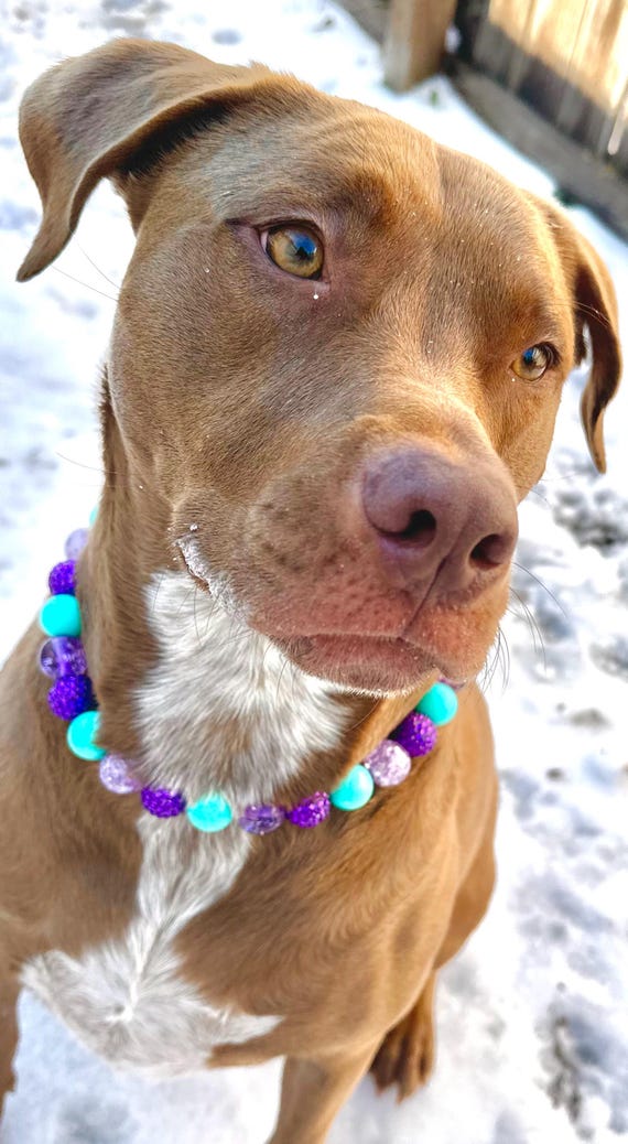 Purple and Teal Beaded Dog Collar, Necklace, Waterproof, Feminine, Acrylic Beads, Mermaid, Bright Colors, Order in ANY Length!