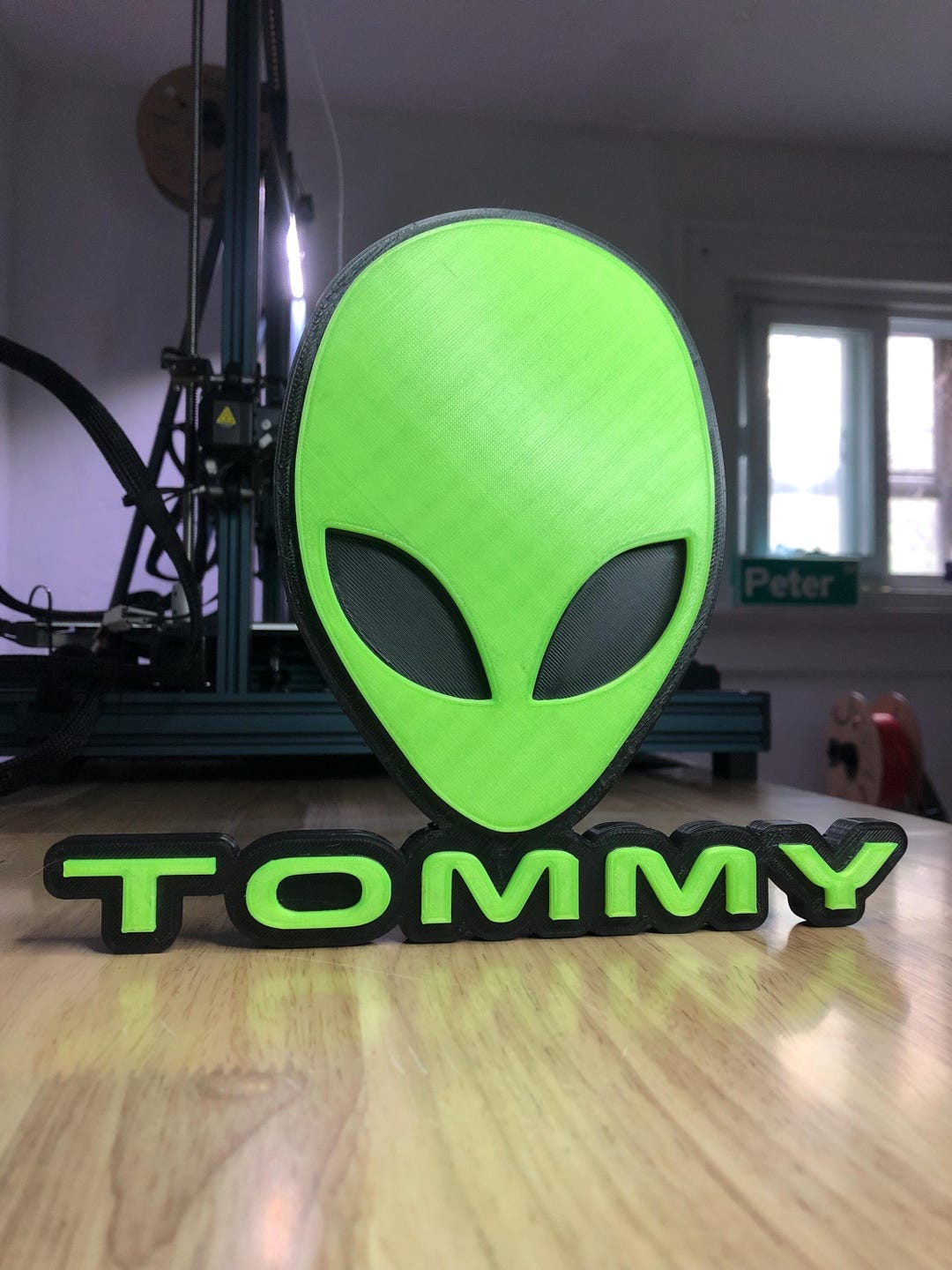 Custom Alien Name Plate, Personalized Alien Sign, Sci-fi Alien Wall ...