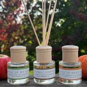 Fall Reed Diffuser: Natural Almond Oil, Spiced Harvest Scent