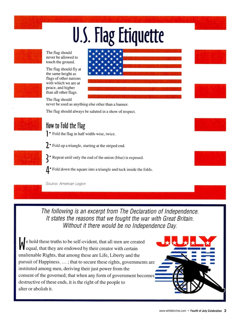 Fourth of July Celebration Plastic Canvas Flags Stars Firecracker Windsock Plant Pokes Needlepoint Embroidery Craft Pattern Leaflet 186025