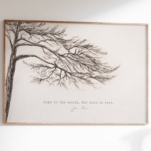 Winter Wall Art, Tree Print, John Muir Quote, Come to the Woods for Here is Rest, Pine Tree Charcoal Drawing, Minimal Nature Décor