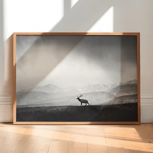 Rocky Mountain Elk Photograph: Estes Park, Colorado Rockies Art Print