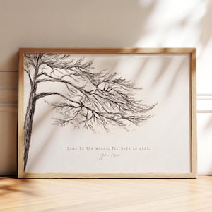 John Muir Quote, Tree Print, Come to the Woods for Here is Rest, Pine Tree Charcoal Drawing, Minimal Nature Décor