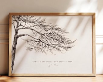 John Muir Quote, Tree Print, Come to the Woods for Here is Rest, Pine Tree Charcoal Drawing, Minimal Nature Décor