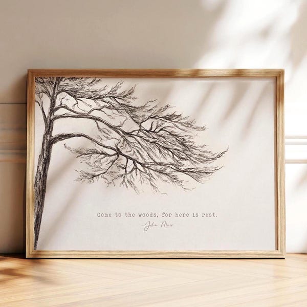 John Muir Quote, Tree Print, Come to the Woods for Here is Rest, Pine Tree Charcoal Drawing, Minimal Nature Décor