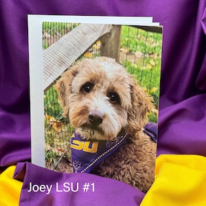 Doodle-notitiekaarten LSU-thema