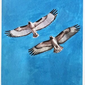 The Hawks - 6x8 giclee print - Made To Order