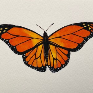Monarch 4 x 6 print MADE TO ORDER