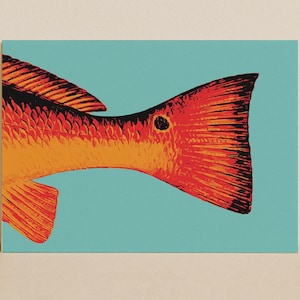Spotlight – Redfish Tail Art Print | Minimalist | Pop Art