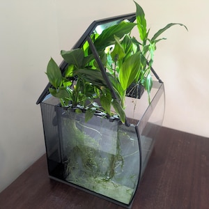 Deckel-Requisiten für Fluval Flex 34L/57L/134L
