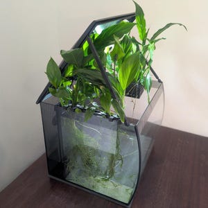 Deckelrequisite & Futterlochabdeckung für Fluval Flex 34L/57L