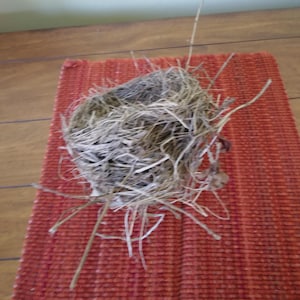 Birds Nest Wreath Making Supply