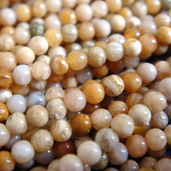 15. Petoskey Fossil 2mm or 3mm Round Bead 16 Inches Strand Stones Beads