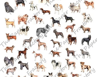 Dog Breeds 1 Digital Collage Sheet A BIG Bunch Of Bow-Wows