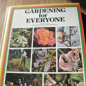 Gardening For Everyone Special Feature Terrariums and Dish Gardens
