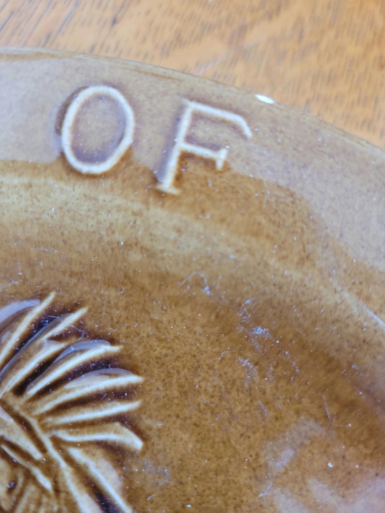 May include: Close-up of a brown ceramic plate with the letters "OF" embossed in white. The plate features a brown and white design of a Native American headdress.