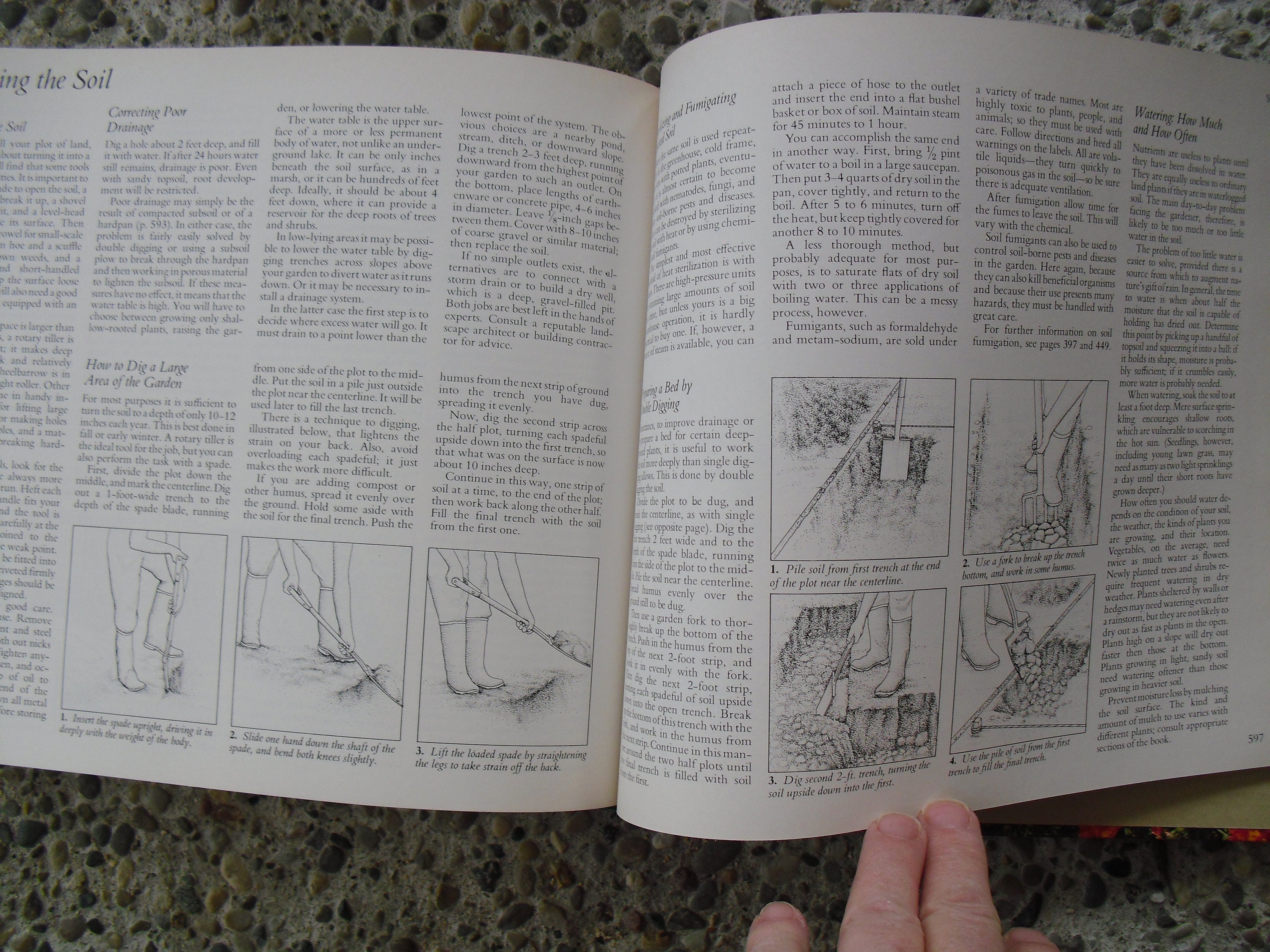 Reader's Digest Illustrated Guide to Gardening - Etsy