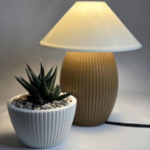 May include: A small, beige table lamp with a white lampshade is next to a white, ribbed planter holding a succulent. The lamp has a rounded base with vertical grooves. The succulent has dark green, pointed leaves and is surrounded by small pebbles.