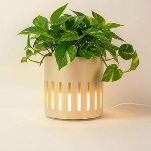 Minimalist Planter Lamp | 3D Printed Desk Light | Japandi Decor | Biophilic Office Accessory | Succulent Pot with Warm Glow | Gift for Plant