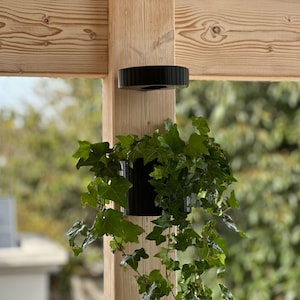 May include: A black hanging planter with a trailing green plant, mounted on a wooden post. The planter is cylindrical and suspended from a black metal ring. The background is blurred, showing greenery.