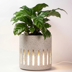 Lámpara de macetero con textura de piedra / Lámpara de escritorio regulable / Maceta de piedra sintética para suculentas / Decoración wabi-sabi / Lámpara de noche moderna y orgánica