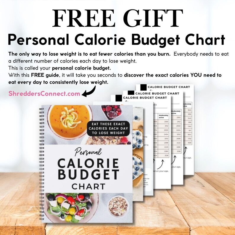 May include: A spiral-bound "Personal Calorie Budget Chart" with the text "FREE GIFT" at the top. The chart includes images of food and a website address. Several pages with calorie information are visible.