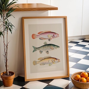 Fish Print: Printable Nautical Kitchen Wall Art (Digital Download)