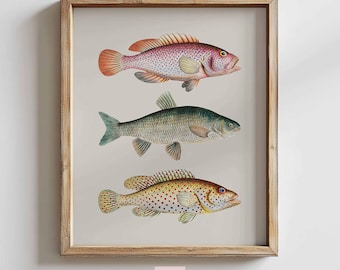 Fish Illustration Print: Retro Nautical Kitchen Art (Digital Download)