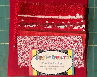 Red Mini Quilt Kit - Coaster -10 Scrap Pieces, Binding, Backing and Instructions - Learn how to quilt -SEWFUNQUILTS Time Saver Quilt Kit -