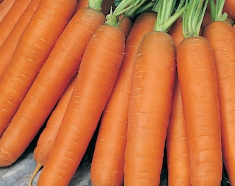 May include: A close-up of several fresh, orange carrots with green leafy tops. The carrots are arranged in a slightly overlapping pattern, showcasing their vibrant color and natural texture. The image highlights the freshness of the produce.