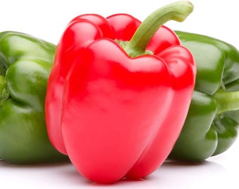 Red Mercury Pepper Seeds